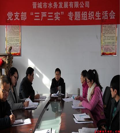 市水務(wù)公司黨支部召開(kāi)“三嚴(yán)三實(shí)”專(zhuān)題組織生活會(huì)